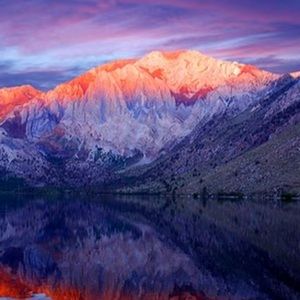 Meet your Posher, Kira